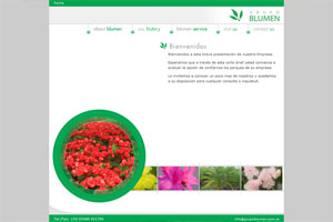 Grupo Blumen