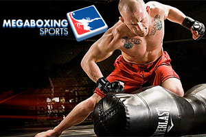 Mega Boxing Sports